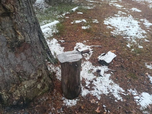 1_Тропа здоровья - 3.jpg